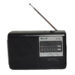 رادیو گولون مدل RX-6030