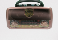 speaker and radio modelRX-BT1110S